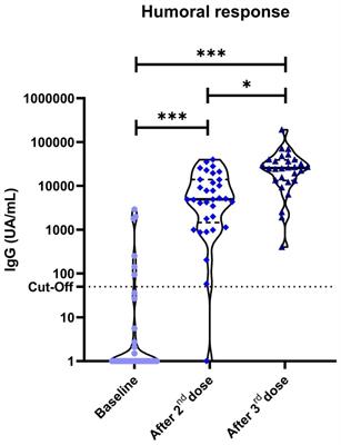 Evidence of exhausted lymphocytes after the third anti-SARS-CoV-2 vaccine dose in cancer patients